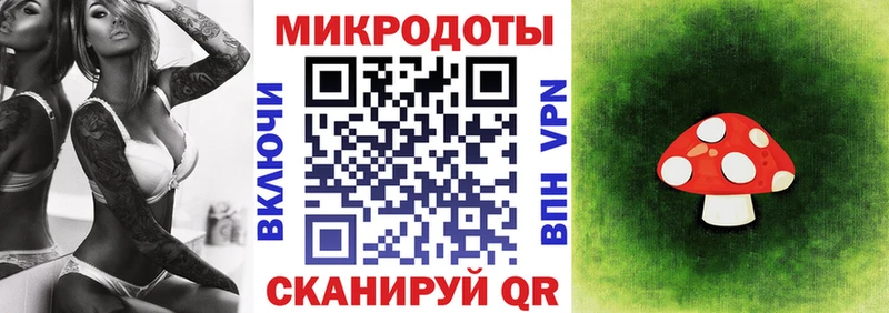 blacksprut ссылка  Нестеров  Галлюциногенные грибы мицелий  цены  